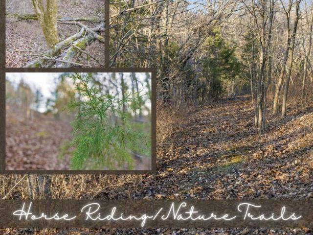 House for sale in Stone, Missouri