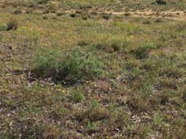 Land for sale in Hantam, Northern Cape