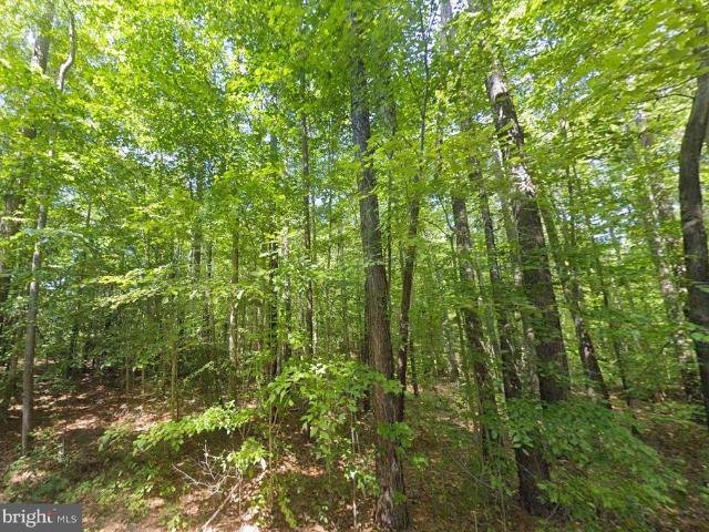 Land for sale in Virginia