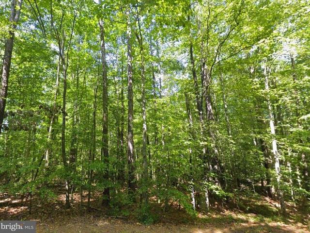 Land for sale in Virginia