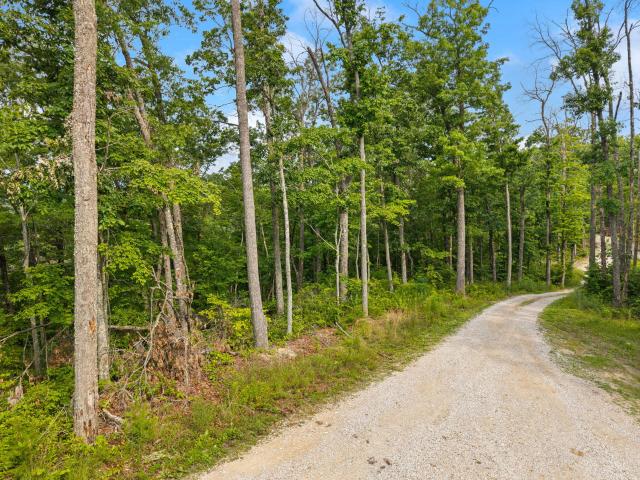Land for sale in Menifee, Kentucky
