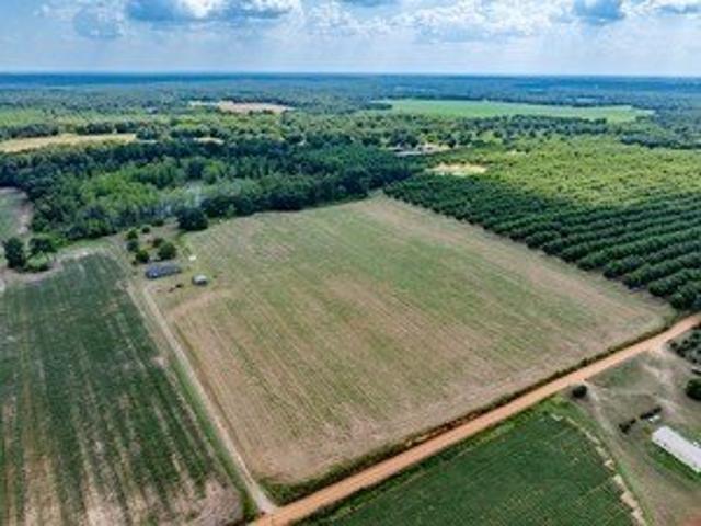 Farm for sale in Worth, Georgia