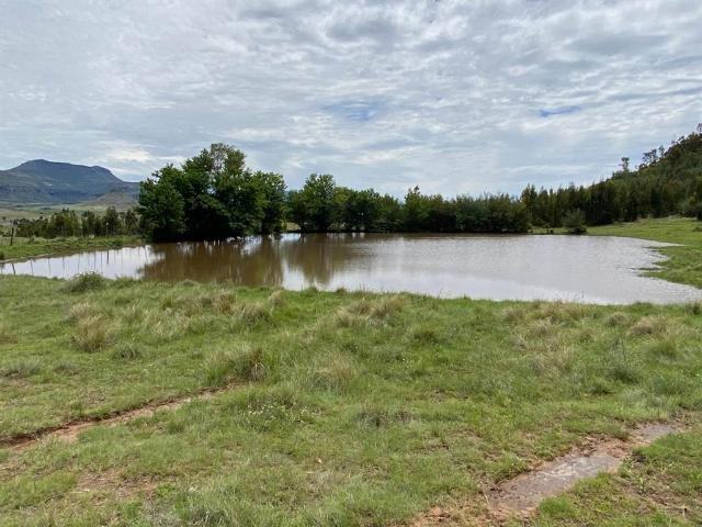Farm for sale in Rosendal, Free State