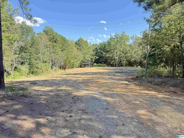 Land for sale in Odenville, Alabama