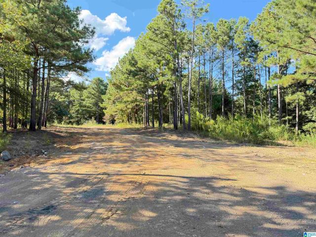 Land for sale in Margaret, Alabama