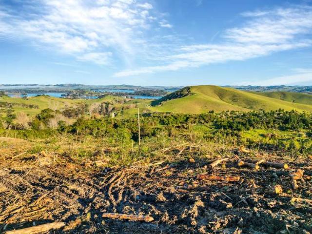 Property for sale in Maungaturoto, Northland