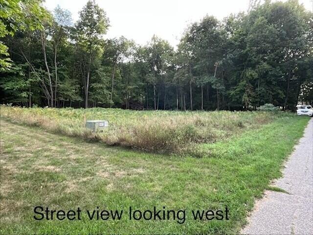 Land for sale in Stanwood, Michigan