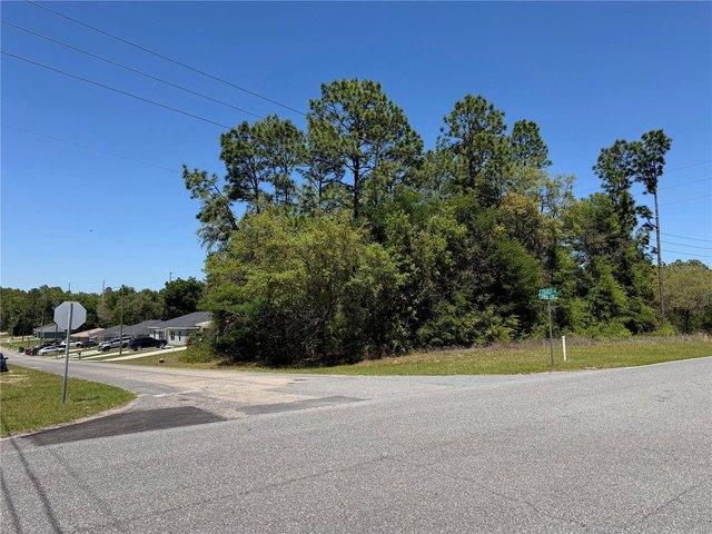 Land for sale in Florida