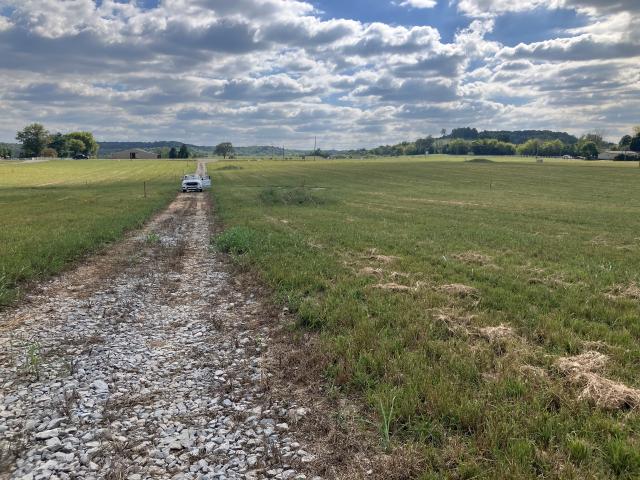 Land for sale in Mount Pleasant, Middle Tennessee
