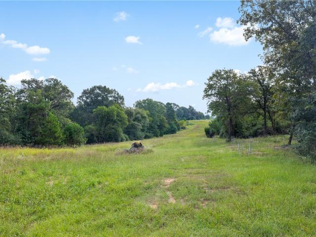 Land for sale in Leon, Texas