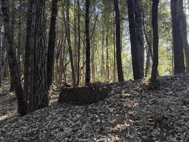 Land for sale in Humboldt, California