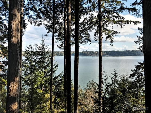 House for sale in Shelton, Washington