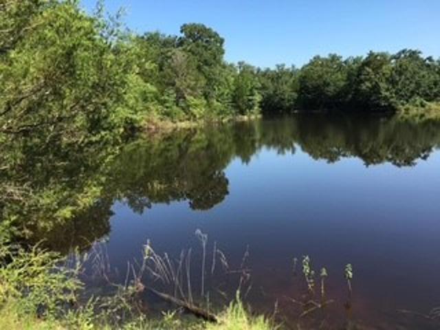 Land for sale in Limestone, Texas