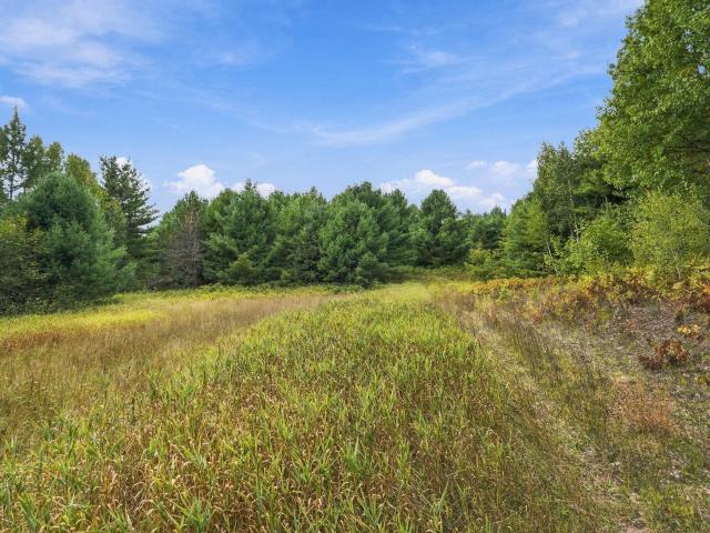 Land for sale in Town of Bennett, Douglas County