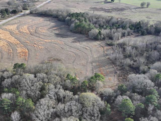 Land for sale in Luverne, Alabama
