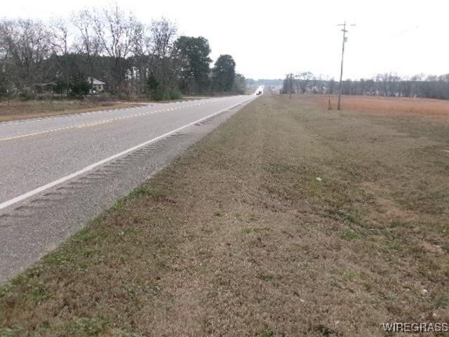 Land for sale in Luverne, Alabama