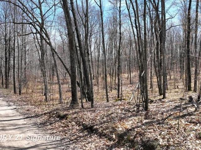 Land for sale in Clare, Michigan