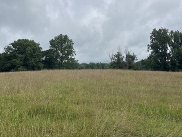 Land for sale in Tennessee