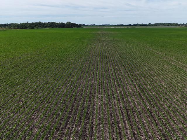 Property for sale in Kankakee, Illinois