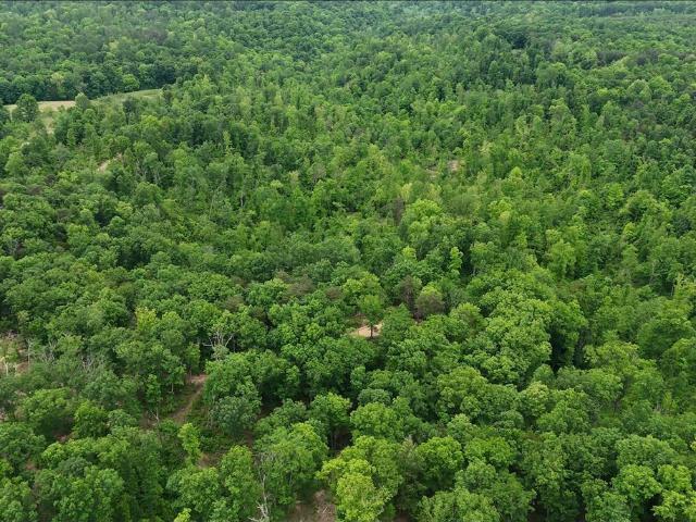 Land for sale in Kentucky