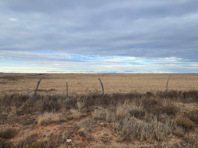 Land for sale in New Mexico