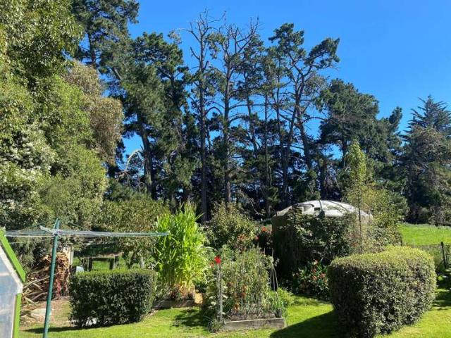 Property for sale in Cheviot, Canterbury
