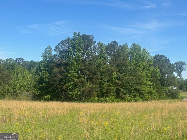 Land for sale in Upson, Georgia