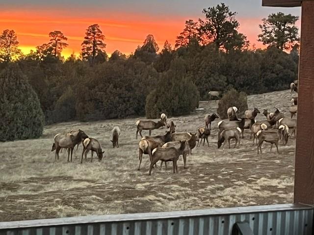 House for sale in Chama, Rio Arriba County