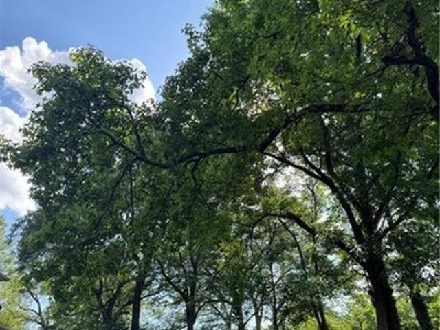 Land for sale in Atlanta, Georgia