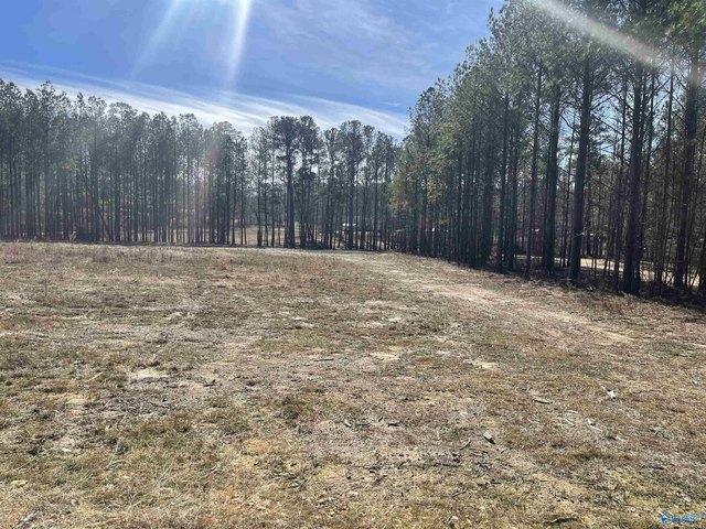 Land for sale in Ashville, Alabama
