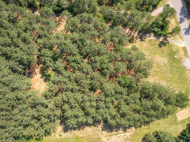 Land for sale in Ashville, Alabama