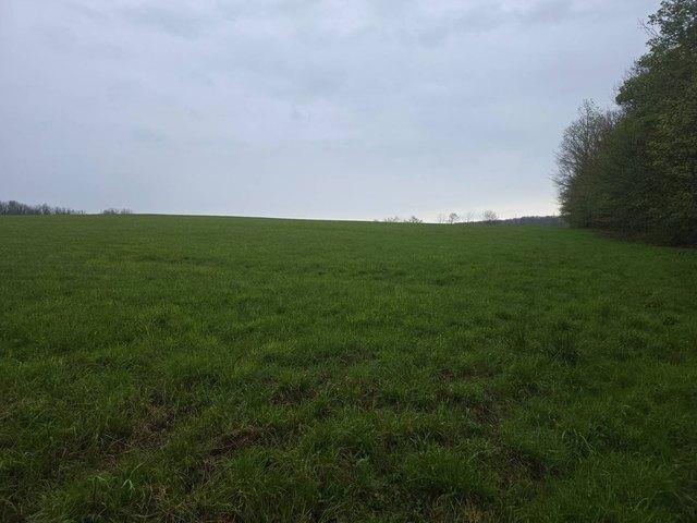 Land for sale in Berkshire, New York