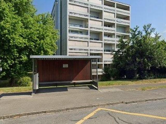 Apartment mieten in Birr, Aargau