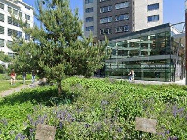 Appartement te huur in Bergen, Noord Brabant