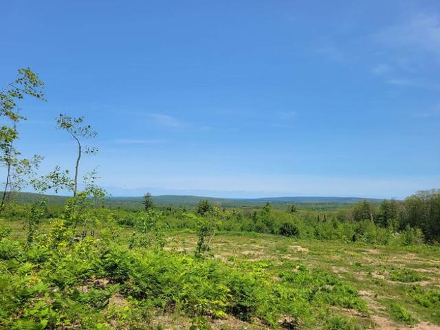 Land for sale in Bayfield, Wisconsin
