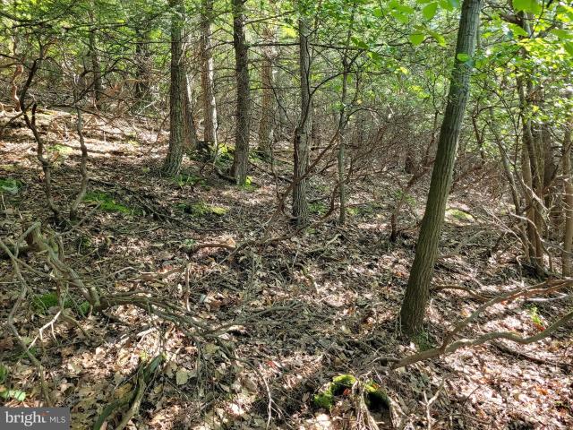 Land for sale in Blair, Pennsylvania