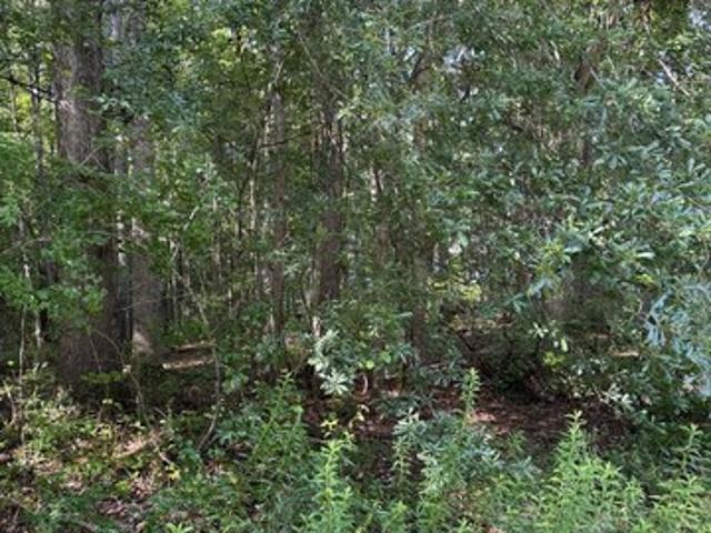 Land for sale in Carrollton, Georgia