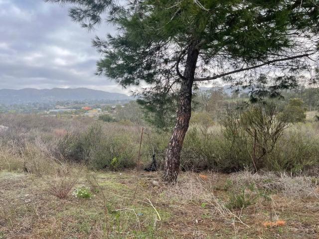 Land for sale in Jamul, California