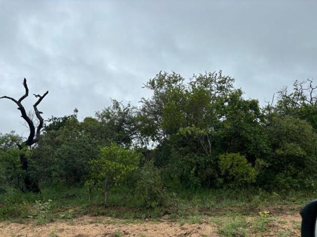 Property for sale in Mopani, Limpopo