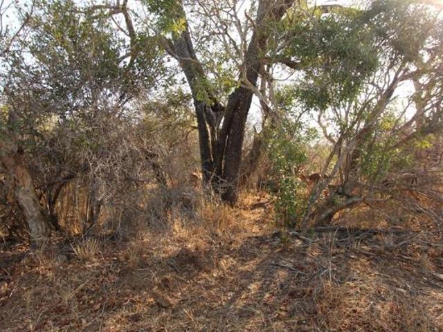 Property for sale in Mopani, Limpopo