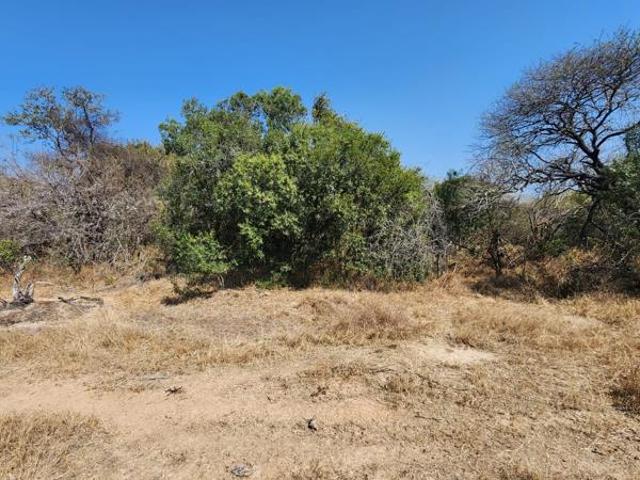 Property for sale in Mopani, Limpopo