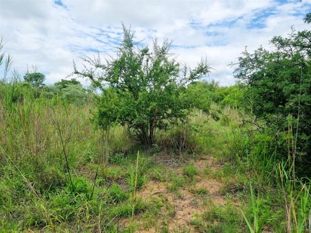 Property for sale in Mopani, Limpopo