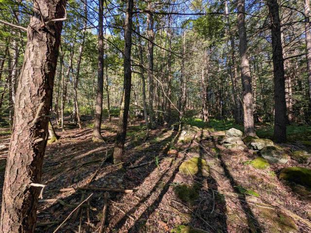 Property for sale in New Hampshire