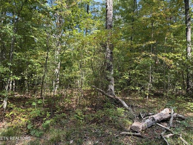 Land for sale in Jamestown, Middle Tennessee