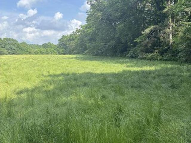 Land for sale in Blount, Alabama