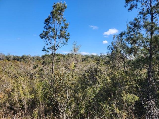Cottage for sale in Sussex Inlet, New South Wales