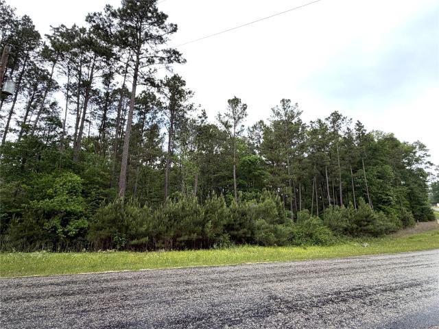 Land for sale in Walker, Texas