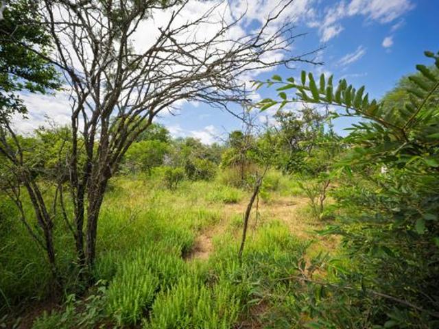 Property for sale in Mopani, Limpopo