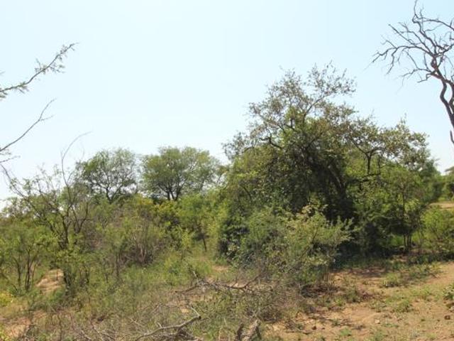 Property for sale in Mopani, Limpopo