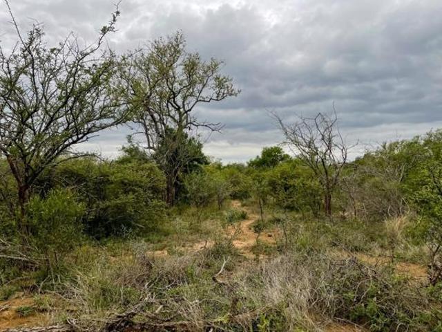 Property for sale in Mopani, Limpopo
